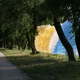 Image for article titled Weird Art Brings Plastic Shopping Bags Closer to Nature